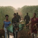 El cine canario protagonizará el inicio del 24º Festival de Cine de Las Palmas